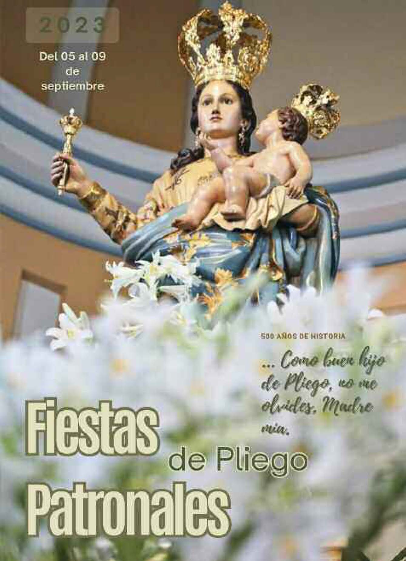 Fiestas patronales en honor a Nuestra Señora de los Remedios  
